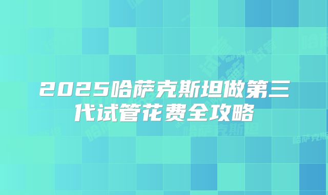 2025哈萨克斯坦做第三代试管花费全攻略