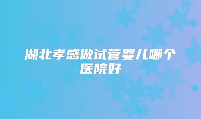 湖北孝感做试管婴儿哪个医院好