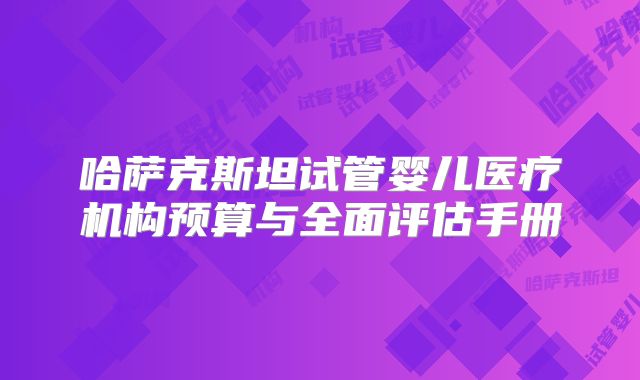 哈萨克斯坦试管婴儿医疗机构预算与全面评估手册