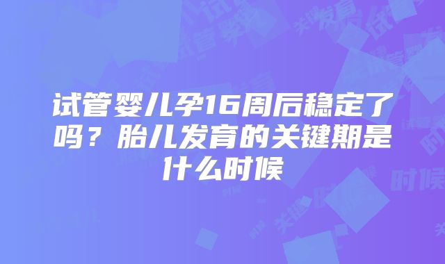 试管婴儿孕16周后稳定了吗?胎儿发育的关键期是什么时候