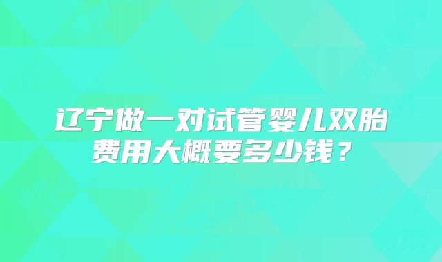 辽宁做一对试管婴儿双胎费用大概要多少钱？