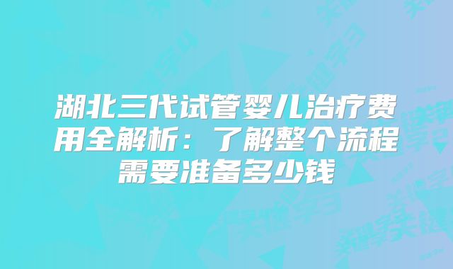湖北三代试管婴儿治疗费用全解析：了解整个流程需要准备多少钱