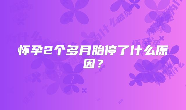 怀孕2个多月胎停了什么原因?