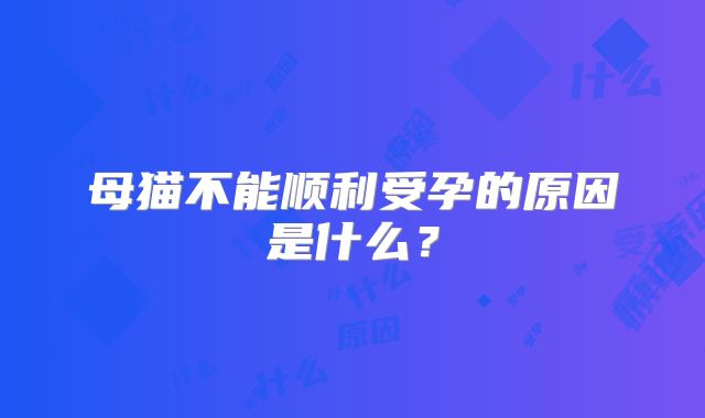 母猫不能顺利受孕的原因是什么?