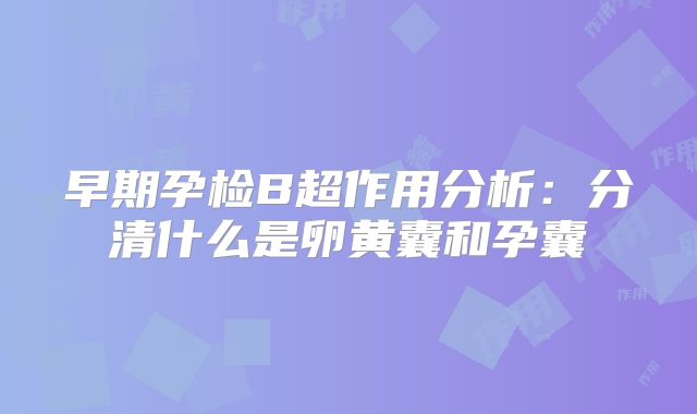 早期孕检B超作用分析:分清什么是卵黄囊和孕囊