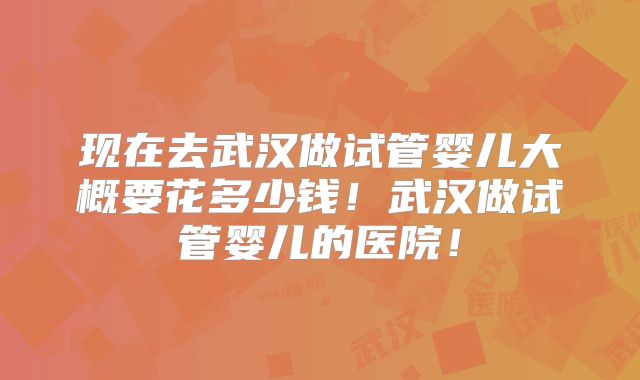 现在去武汉做试管婴儿大概要花多少钱！武汉做试管婴儿的医院！