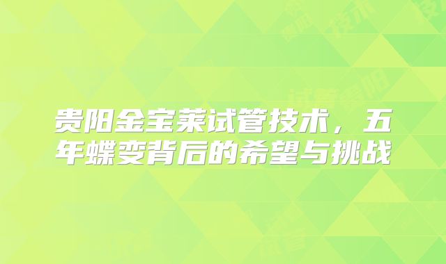 贵阳金宝莱试管技术，五年蝶变背后的希望与挑战
