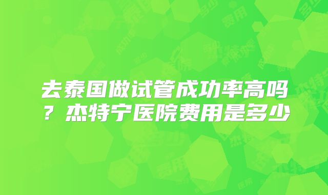 去泰国做试管成功率高吗？杰特宁医院费用是多少