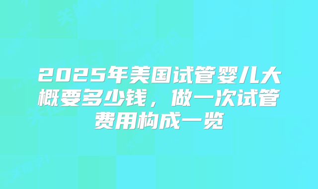 2025年美国试管婴儿大概要多少钱，做一次试管费用构成一览