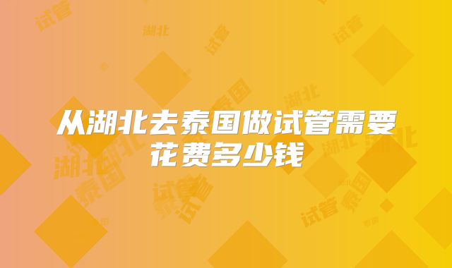 从湖北去泰国做试管需要花费多少钱