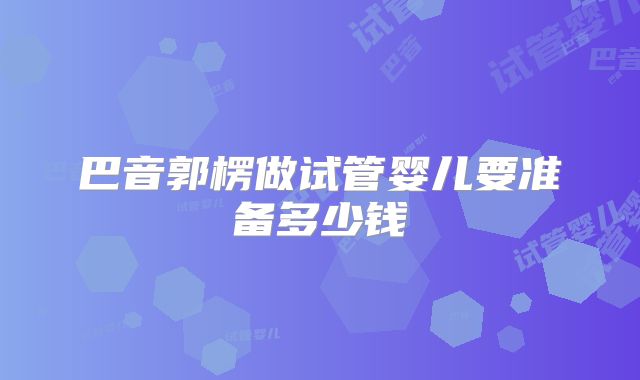 巴音郭楞做试管婴儿要准备多少钱
