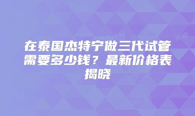 在泰国杰特宁做三代试管需要多少钱？最新价格表揭晓