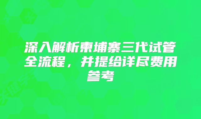 深入解析柬埔寨三代试管全流程,并提给详尽费用参考