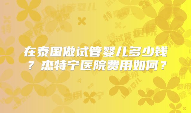 在泰国做试管婴儿多少钱？杰特宁医院费用如何？