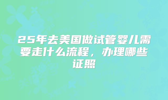 25年去美国做试管婴儿需要走什么流程,办理哪些证照