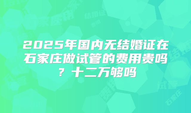 2025年国内无结婚证在石家庄做试管的费用贵吗？十二万够吗
