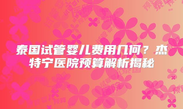 泰国试管婴儿费用几何？杰特宁医院预算解析揭秘