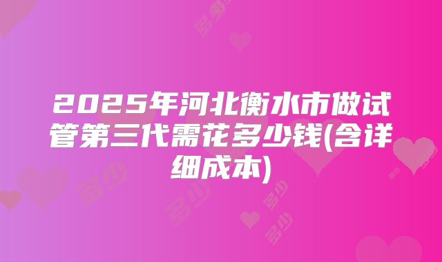 2025年河北衡水市做试管第三代需花多少钱(含详细成本)