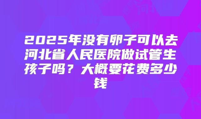 2025年没有卵子可以去河北省人民医院做试管生孩子吗？大概要花费多少钱