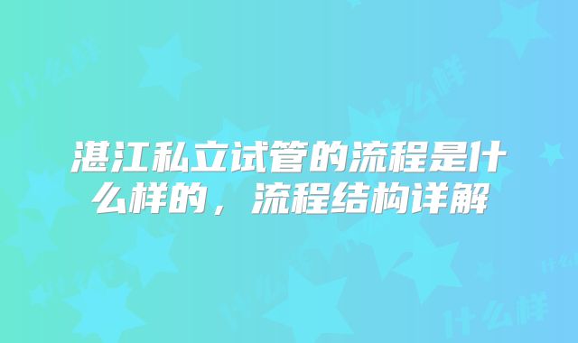 湛江私立试管的流程是什么样的,流程结构详解
