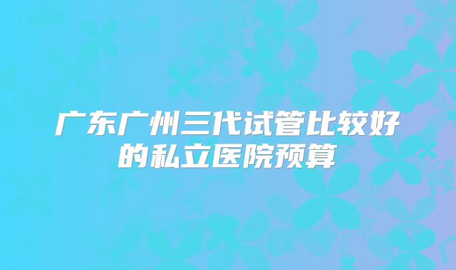 广东广州三代试管比较好的私立医院预算