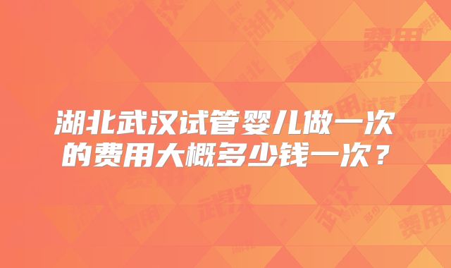 湖北武汉试管婴儿做一次的费用大概多少钱一次？