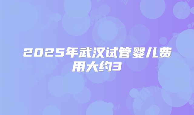 2025年武汉试管婴儿费用大约3
