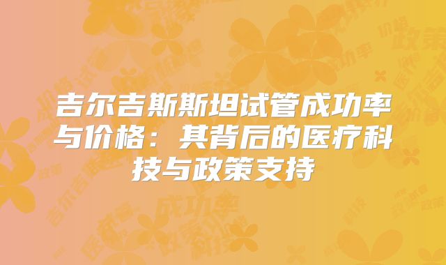 吉尔吉斯斯坦试管成功率与价格：其背后的医疗科技与政策支持