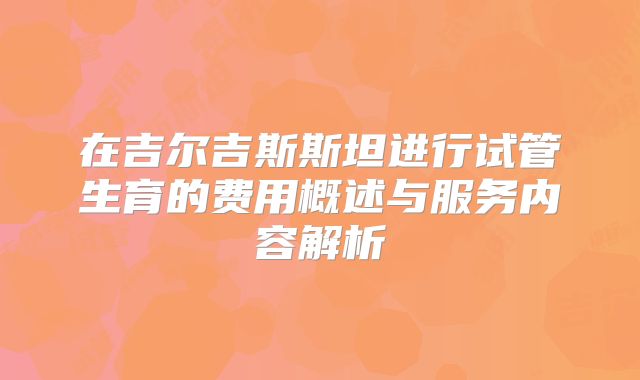 在吉尔吉斯斯坦进行试管生育的费用概述与服务内容解析