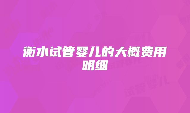 衡水试管婴儿的大概费用明细