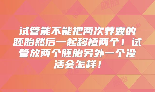 试管能不能把两次养囊的胚胎然后一起移植两个!试管放两个胚胎另外一个没活会怎样!