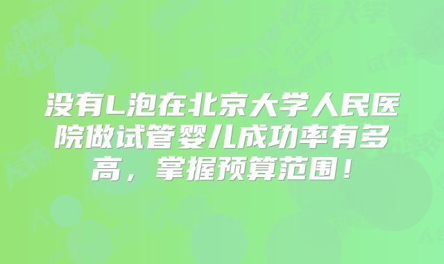 没有L泡在北京大学人民医院做试管婴儿成功率有多高,掌握预算范围!