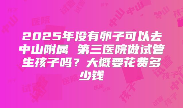 2025年没有卵子可以去中山附属 第三医院做试管生孩子吗?大概要花费多少钱
