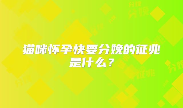 猫咪怀孕快要分娩的征兆是什么？