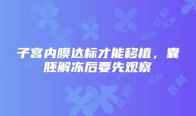 子宫内膜达标才能移植，囊胚解冻后要先观察