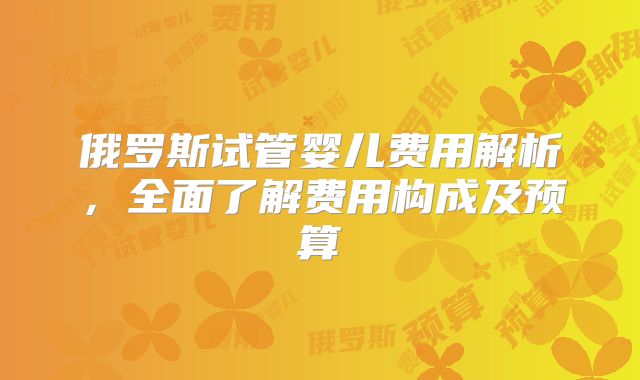 俄罗斯试管婴儿费用解析，全面了解费用构成及预算