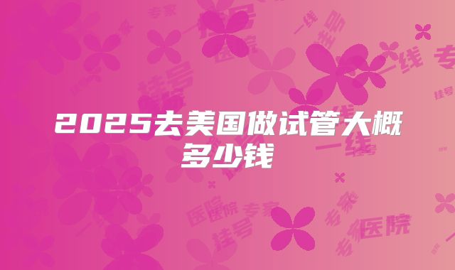2025去美国做试管大概多少钱
