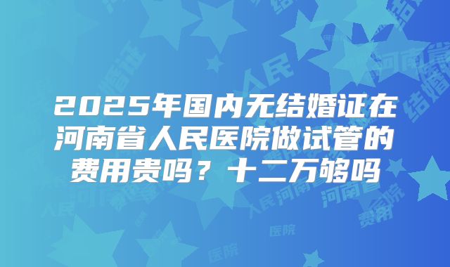 2025年国内无结婚证在河南省人民医院做试管的费用贵吗?十二万够吗
