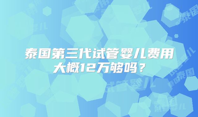泰国第三代试管婴儿费用大概12万够吗?