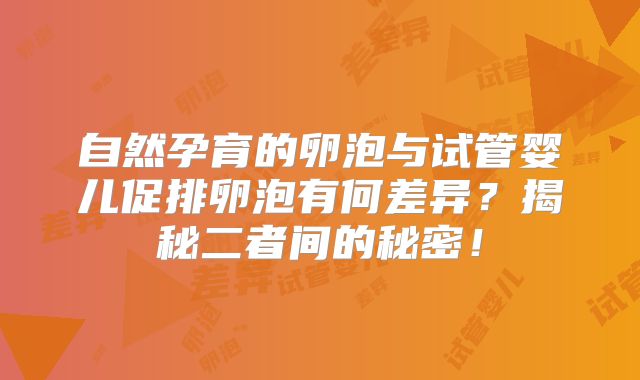 自然孕育的卵泡与试管婴儿促排卵泡有何差异?揭秘二者间的秘密!