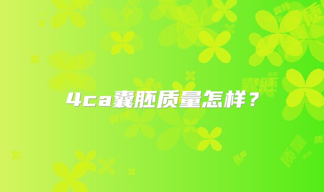4ca囊胚质量怎样？