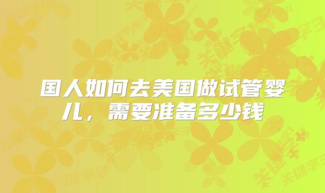 国人如何去美国做试管婴儿,需要准备多少钱