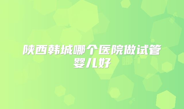 陕西韩城哪个医院做试管婴儿好