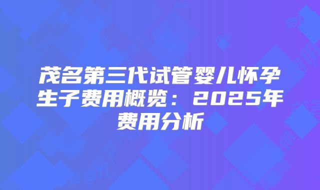茂名第三代试管婴儿怀孕生子费用概览:2025年费用分析