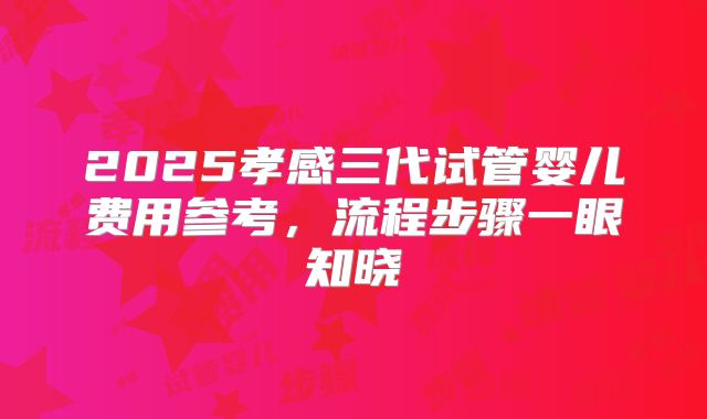 2025孝感三代试管婴儿费用参考，流程步骤一眼知晓