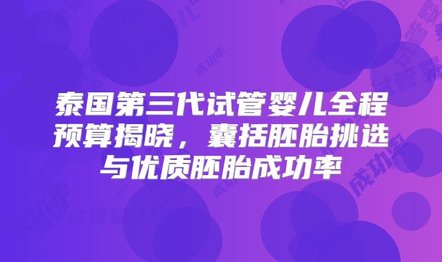 泰国第三代试管婴儿全程预算揭晓,囊括胚胎挑选与优质胚胎成功率