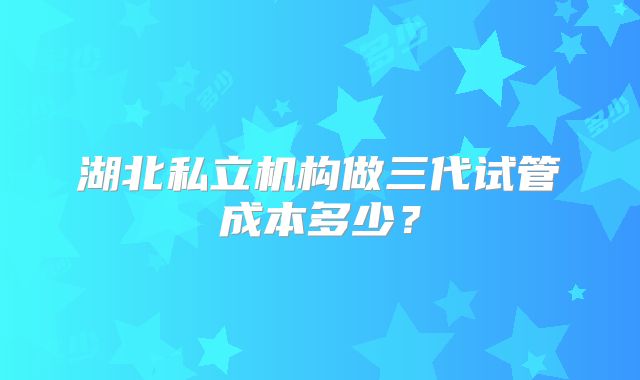 湖北私立机构做三代试管成本多少？