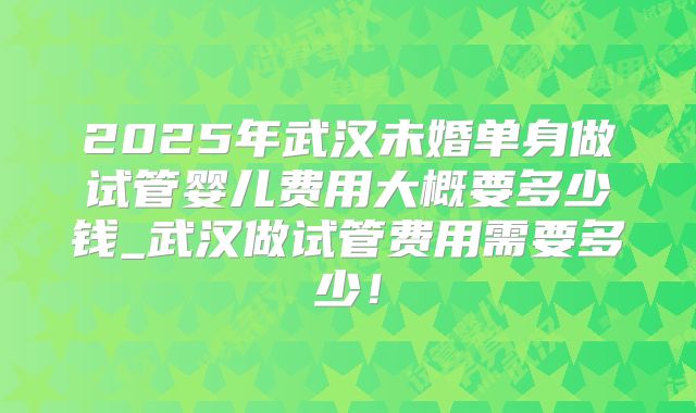 2025年武汉未婚单身做试管婴儿费用大概要多少钱_武汉做试管费用需要多少!
