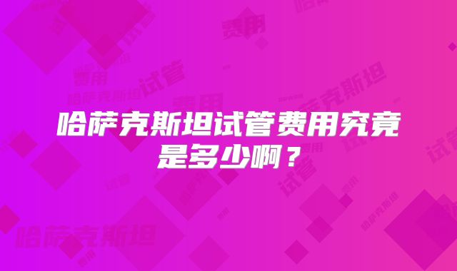 哈萨克斯坦试管费用究竟是多少啊？