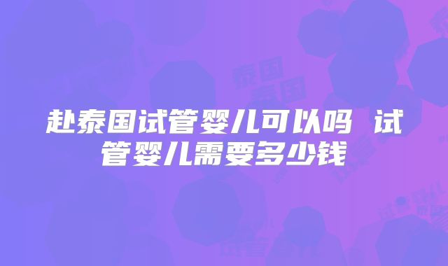 赴泰国试管婴儿可以吗 试管婴儿需要多少钱